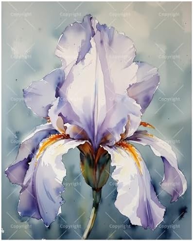 TAOPAOLAB Floral Paint by Numbers Kit for Adults - DIY Purple Iris Flower Painting on Canvas 12x16In, Framed Acrylic Paint Set, Suitable for Beginners, Art for Home Decoration or Gifts by Unknown