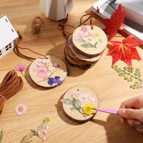20 Set DIY Crafts Wooden Slices with Pressed Flower Fall, Delicate - Image 6