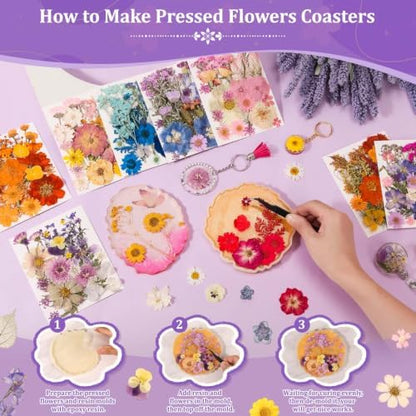 Evatage 480 Pcs Real Dried Pressed Flowers for Resin Crafts - Image 5