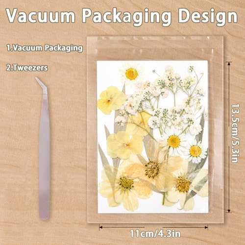 Dried Pressed Flowers Real Pressed Flowers Natural Dry Leaves Bulk Mixed Colorful Herbs Kit with Tweezers for Scrapbooking DIY Candle Jewelry Crafts Making Nails (Vintage Colors) - Image 2