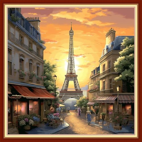 Redxing Stamped Cross Stitch Kits Embroidery kit for Beginners Adults Full Range of Embroidery Patterns Starter Kits DIY Printed Cross Stitch Kits Needlepoint Kits 11CT-Eiffel Tower Street 18x18 inchs by RedxingStampedCrossStitchK