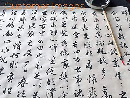 Qi Ming Wen Fang Weasel Hair Chinese Calligraphy Brush Premium Chinese Brush Sumi Brushes 99% Weasel Hair wolf hair for Font 3-5cm, 1pc QingJin Small Size