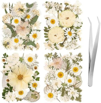 100pcs White and Light Yellow Dried Pressed Flowers Bulk, Natural Fall Pressed Dried Flowers with Tweezer for DIY Crafts Resin Mold Candles Cake Bridal Scrapbooking Supplies by LGFMGWH