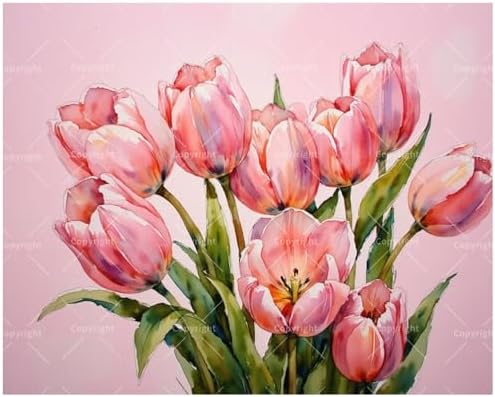 Floral Art Paint by Numbers Kit for Adults - DIY Pink Tulips Bouquet Painting on Canvas, Acrylic Paint Set, Suitable for Beginners, Flower Art for Home Decoration or Gifts(12X16IN Framed) by Unknown