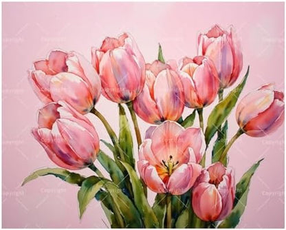 Floral Art Paint by Numbers Kit for Adults - DIY Pink Tulips Bouquet Painting on Canvas 16x20 Inches, Acrylic Paint Set, Suitable for Beginners, Flower Art for Home Decoration or Gifts. by Unknown