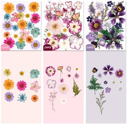 9 Packs of 200 Pressed Dried Flowers and Leaves for DIY Crafts - Image 5