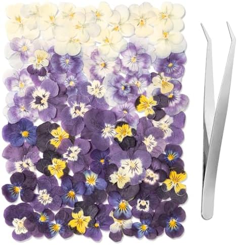 60Pcs Dried Pressed Pansies Flowers for Cake Decorating, Purple Real Dry Flower for Resin Art Crafts Jewelry Decorations - Image 2