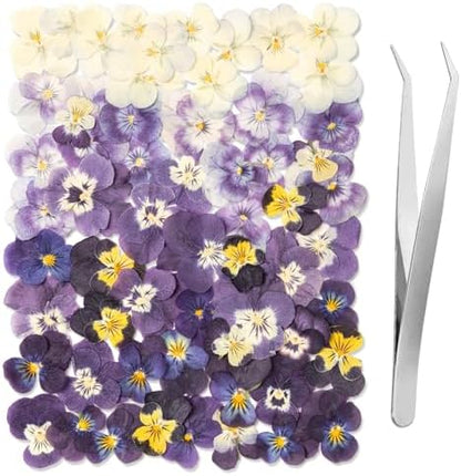 60Pcs Dried Pressed Pansies Flowers for Cake Decorating, Purple Real Dry Flower for Resin Art Crafts Jewelry Decorations - Image 2
