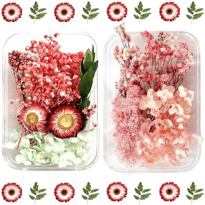 2PCS Dried Flowers Kit, Natural Dried Flowers Kit for DIY Crafts, Scrapbook, Card Making (Style_5_34) by Unknown