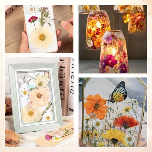 140pcs Dried Pressed Flowers Bulk, Natural Fall Pressed Dried Flowers with Tweezer for DIY Crafts Resin Mold Candles Cake Bridal Scrapbooking Supplies - Image 5
