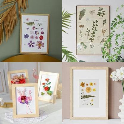 222 PCS Real Pressed Dried Flowers and Leaves with Butterfly Stickers & Tweezers – Natural Dried Flowers for Resin, Candle, Jewelry, Scrapbooking & DIY Crafts (Colour 222)