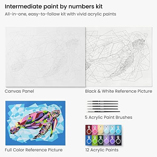 ARTEZA Paint by Number for Adults, 12x16 Inches, 21 Pieces, Turtle Paint by Numbers Kit, Comes with 1 Canvas Panel, 12 Acrylic Paint Pots, 5 Paintbrushes, Art Supplies for Home & Office Wall Decor - Image 3