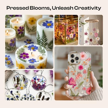 Caydo Large Flower Press Kit for Adults & Teens, 11"x11"Flower Pressing Kit - Image 6