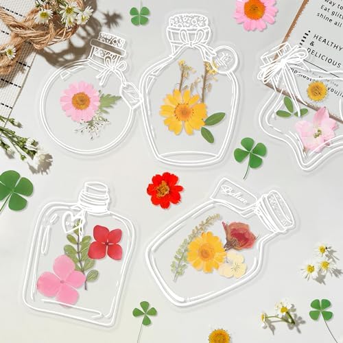 Large Size Transparent Dried Flower Bookmarks, 20 PCS Handmade DIY Flower Page Clips,World in Bottle-Making Stunning Herbarium(Wishing Bottle) by oecoel