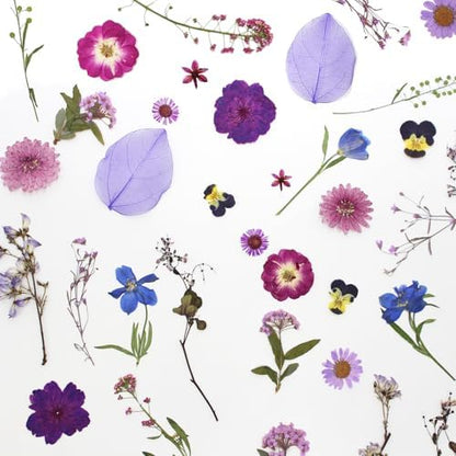 40 Pcs Purple Dried Pressed Flowers Real Natural for Scrapbooking Art Crafts DIY Gift Papermaking Resin Party Decorations Candle Soap Card Jewelry Making Supplies - Image 4