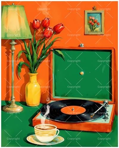 Retro Record Player Paint by Numbers Kit for Adults - DIY Vintage Music and Tulips Scene Painting on Canvas 16x20In, Framed Acrylic Paint Set for Beginners, Nostalgic Art for Home Decoration/Gifts by Unknown
