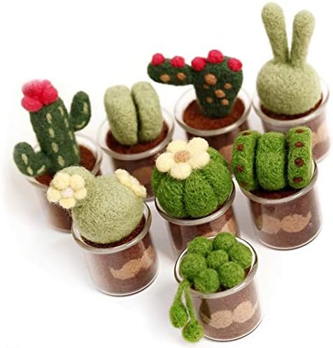KISSBUTY Full Range of Needle Felting Kit, Cactus Wool Felted Set for Adults and Beginners Including Wool Roving for 8 Succulents, Foam Mat, Glass Pots, Needles, Finger Guards Tools Kit by Unknown