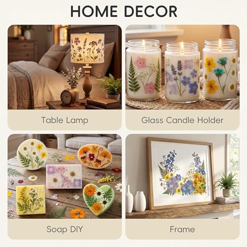 LUXEEASE 4 Color 110P Long Stem Dried Pressed Flowers - Image 6
