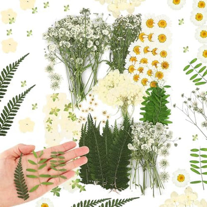 Fabbay 200 Pcs Dried Pressed Flowers Natural Leaves for Resin Nail, White by Fabbay