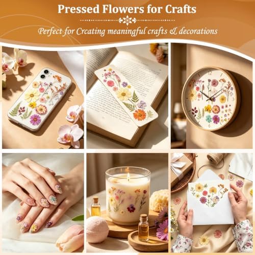 Evatage 180 Pcs Real Dried Pressed Flowers for Resin Crafts - Image 7