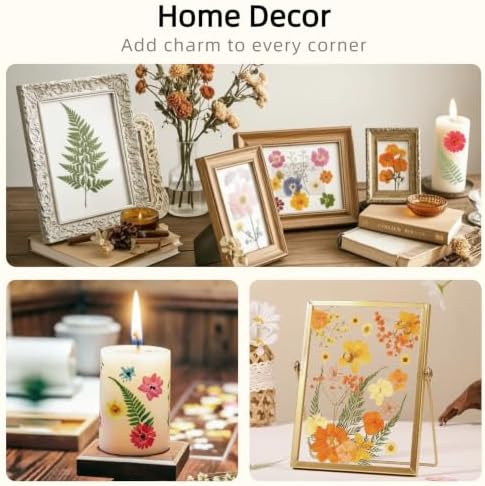 72Pcs Dried Pressed Flowers for Resin, Natural Dried Flowers for Crafts, Real Pressed Flowers Dry Leaves Bulk for Epoxy Resin Jewelry,Scrapbook,Picture Frame,Bookmarks,Candle & Soap Making - Image 6