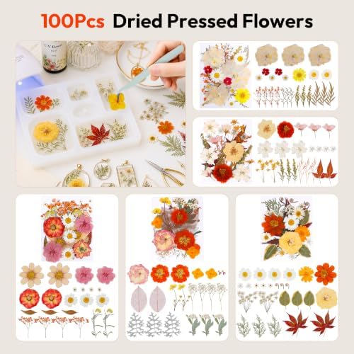 Resiner Dried Flowers for Crafts, 100Pcs Vintage Pressed Flowers - Image 2