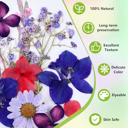 MTLEE 24 Pack Dried Pressed Flower Candle Painting Kit, 4 Inch - Image 6