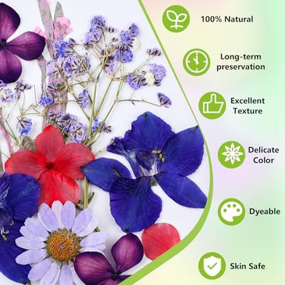 MTLEE 24 Pack Dried Pressed Flower Candle Painting Kit, 4 Inch - Image 6