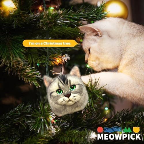 MeowPick Needle Felting Kit with Cat Head Mold, Animals Needle Felting Set, DIY Wool Felt Materials Set with Felting Tool and Instruction for Quick Needle Felting Craft (Garfield) - Image 4