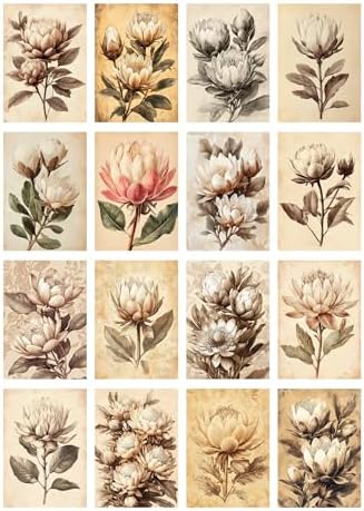 Decoupage Paper Pack (35 Sheets 6"x8") Vintage Proteas: Elegant Sepia-Toned Protea Blooms with Soft Botanical Details in Classic Aged Illustrations and Timeless Floral Charm FLONZ Vintage - Image 2
