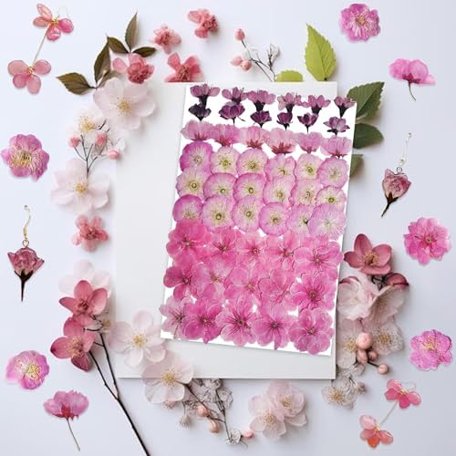 51 Pcs Real Natural Cherry Blossom Dried Pressed Flowers - Delicate Pink Florals for Resin Jewelry, Candle Making, Frame Decor & DIY Craft Projects - Image 3