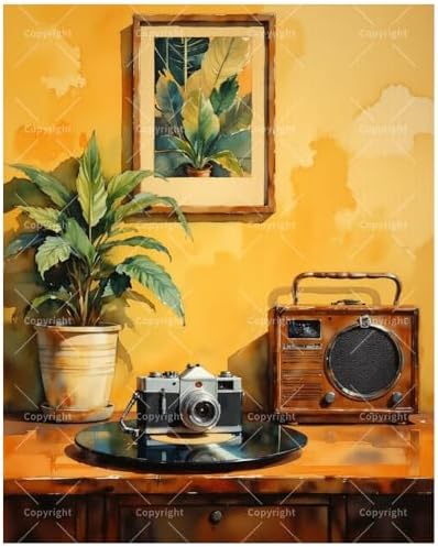 TAOPAOLAB Retro Radio Paint by Numbers Kit for Adults - DIY Vintage Radio and Camera Painting on Canvas 16x20 Inches, Acrylic Paint Set, Suitable for Beginners, Art for Home Decoration or Gifts by Unknown