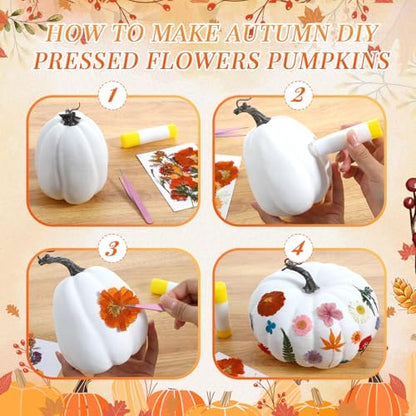 Canlierr 8 Pcs Large Craft Pumpkins & 150 Dried Flower, White - Image 3