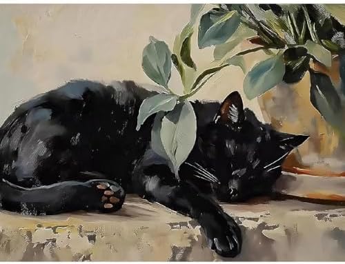Canrichshop Sleeping Cat Paint by Number Kit for Adults,DIY Black Cat Acrylic Painting Kit Without Frame,Easy Adult Paint-by-Number Kits on Canvas Decor 16x20inch by Canrichshop