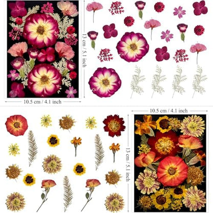 MIKIYA 92Pcs Pressed Dried Flowers for Resin, Real Assorted Natural Bulk Dry Floral Leaves for DIY Art Crafts, Epoxy Molds, Jewelry, Soap, Candle Making, Nails Decors - Image 6