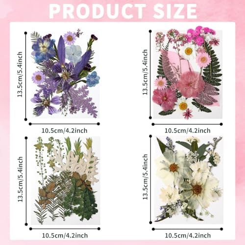 Augshy Dried Pressed Flowers Dry Leaves, 80 Pcs Real Pressed Flowers Leaves for Resin Molds Assorted Pink Blue White Flower for Crafts DIY Jewelry Molds, Scrapbooking, Candle - Image 2