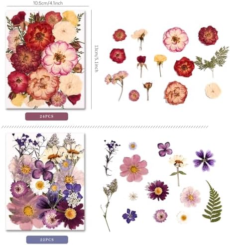 150PCS Pressed Dried Flowers Dry Leaves for DIY Crafts, Colorful - Image 4