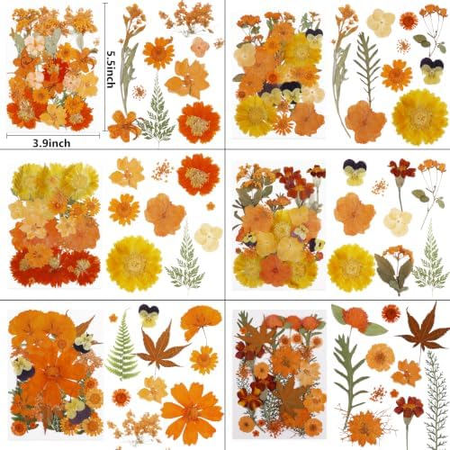 350 Pcs Fall Dried Flowers for Crafts,Real Nature Dried Flowers for Resin - Image 2