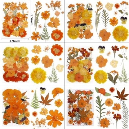 350 Pcs Fall Dried Flowers for Crafts,Real Nature Dried Flowers for Resin - Image 2