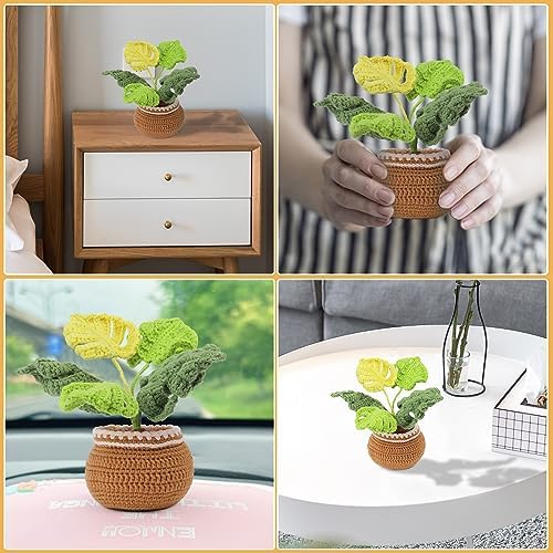 kgxulr Crochet Kit, Monstera Leaves Knitting Kit, Crochet Kit for Beginners - Image 7