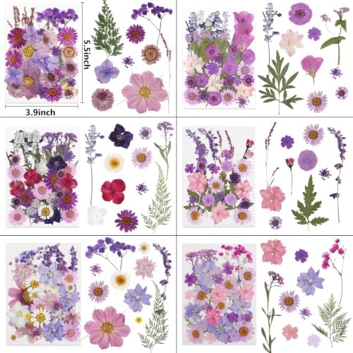 412 Pcs Dried Flowers for Crafts,Real Nature Dried Flowers for Resin - Image 2