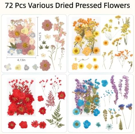 72Pcs Dried Pressed Flowers for Resin, Natural Dried Flowers for Crafts, Real Pressed Flowers Dry Leaves Bulk for Epoxy Resin Jewelry,Scrapbook,Picture Frame,Bookmarks,Candle & Soap Making - Image 2