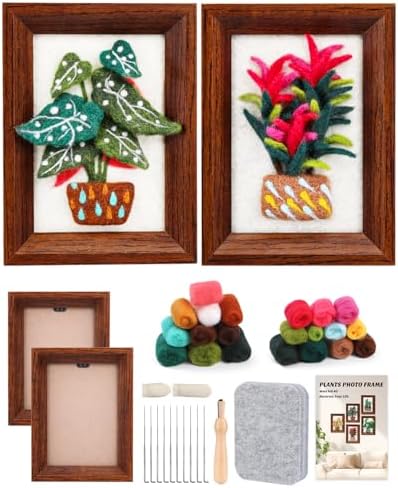 OEHPICC Needle Felting Kit for Beginners with Frame, 2 Pcs Potted Plants by OEHPICC