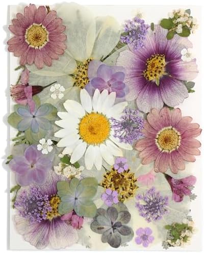 40PCS Real Nature Dried Pressed Flowers for Resin Mold, Dry Pressing Floral with Butterfly Transparent Stickers Set for DIY Jewelry Card Scrapbook Art Craft Decors by Unknown