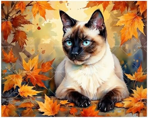 Blue-Eyed Cat in Autumn Paint by Numbers Kit for Adults - DIY Siamese Cat and Fall Foliage Painting on Canvas 8x12In, Framed Acrylic Paint Set, Suitable for Beginners, Pet Art for Decoration by Unknown