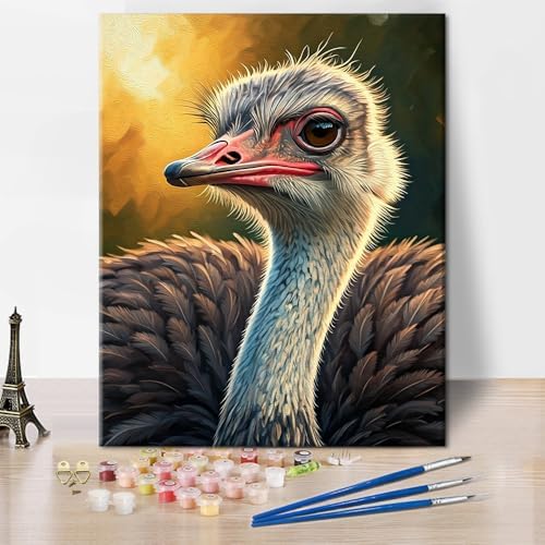 TUMOVO Adults Paint by Numbers Kit African Wildlife Art Colorful Ostrich Bird Painting by Numbers for Adults Exotic Animal DIY Canvas Artwork for Home Wall Decor Acrylic Paints and Brushes 16x20 Inch by TUMOVO