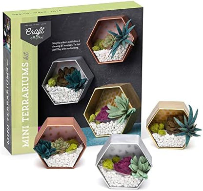 Craft Crush — Mini Plants Terrariums Easy Fun Arts and Craft Kit — Make 3 Charming Faux Terrariums! — For Ages 13 and Up - Image 2