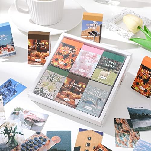 12 Sets 600 Sheets Washi Stickers for Journaling, Daily Quote Flower Nature Travel Stickers Vintage Aesthetic Scrapbook Sticker Set for Bullet Journal Art Diary Card Craft Gifts Planner Notebook - Image 6