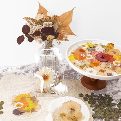 Dried Pressed Flowers Real Pressed Flowers Natural Dry Leaves Bulk Mixed Colorful Herbs Kit with Tweezers for Scrapbooking DIY Candle Jewelry Crafts Making Nails (Vintage Colors) - Image 4