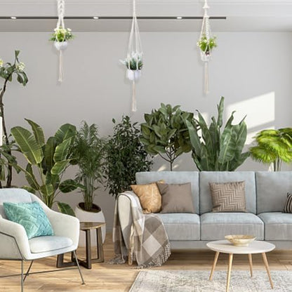 FREEBLOSS 3 Sets Macrame Plant Hanger Kit Macrame Wall Hanging Kit Macrame Plant Hangers Indoor Hanging Planter Basket Macrame Kit for Beginners with Video Tutorial - Image 4